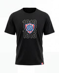 Triko FCZB Logo 1913 černé