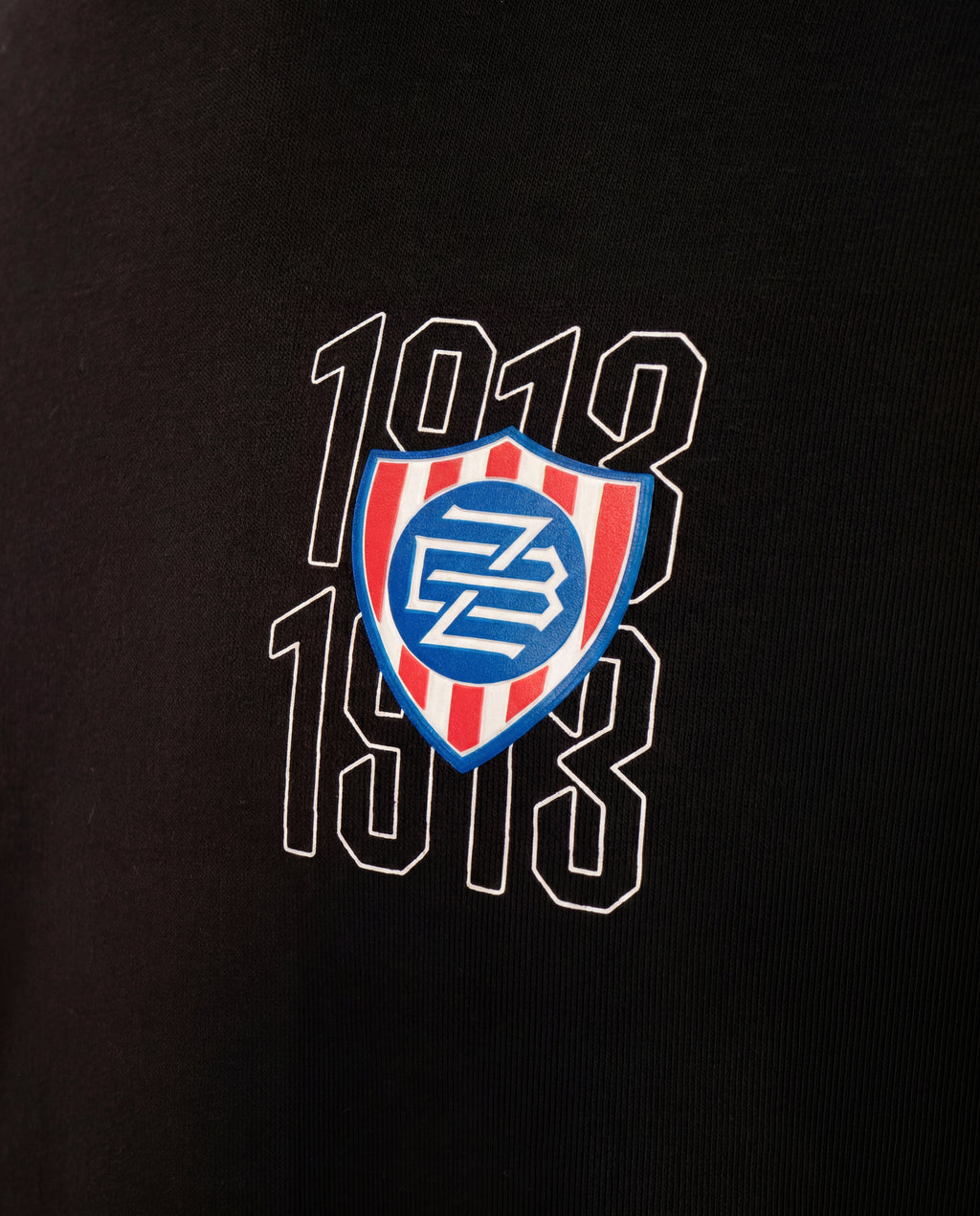 Dětská mikina FCZB Logo 1913 černá