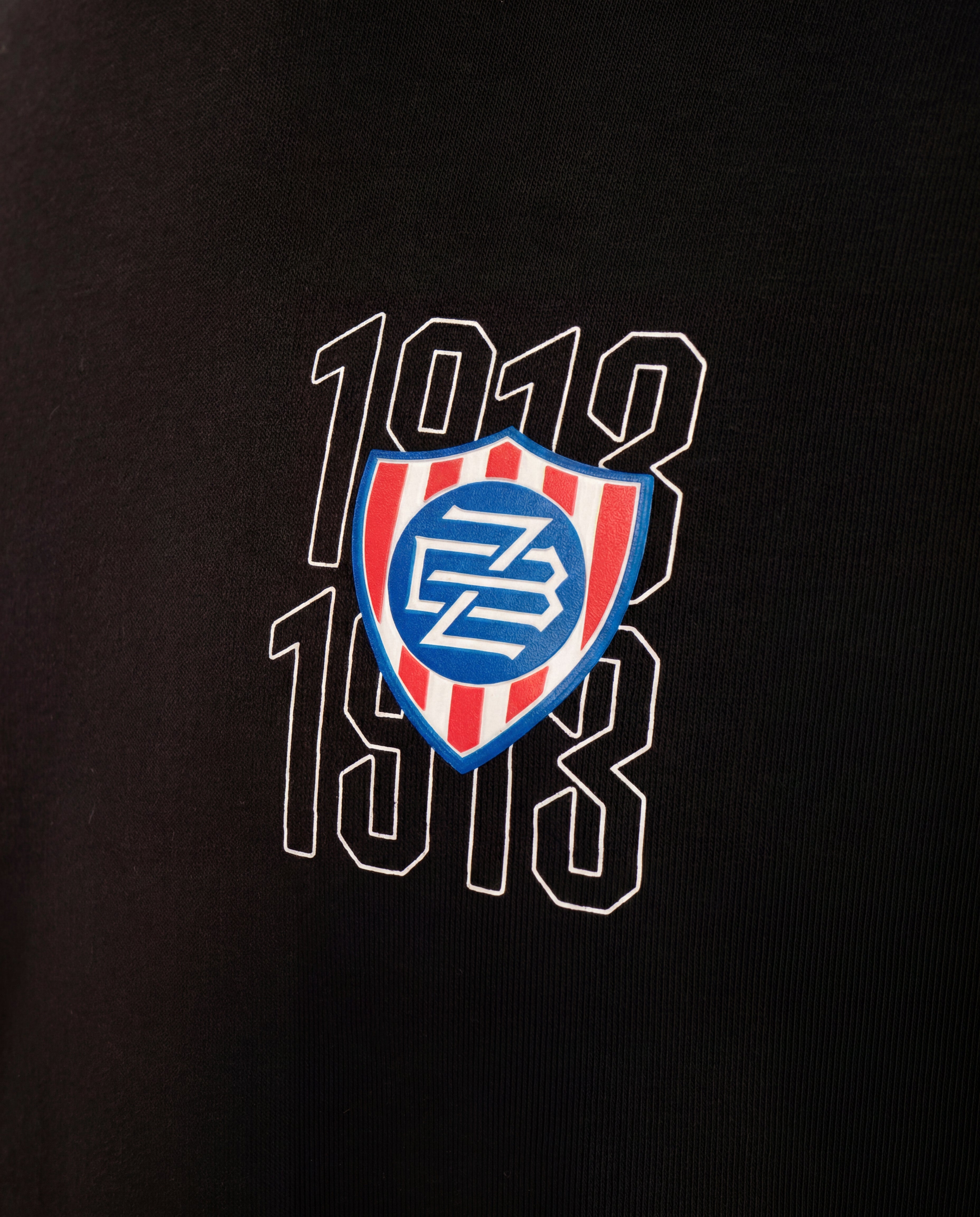 Dětská mikina FCZB Logo 1913 černá